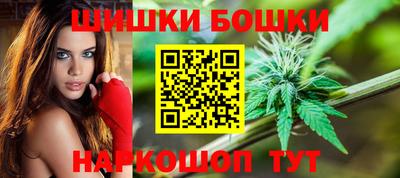 apvp Беслан