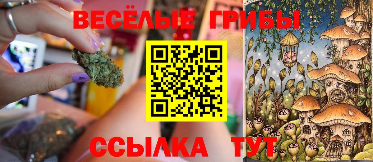 Псилоцибиновые грибы MAGIC MUSHROOMS Жуковский