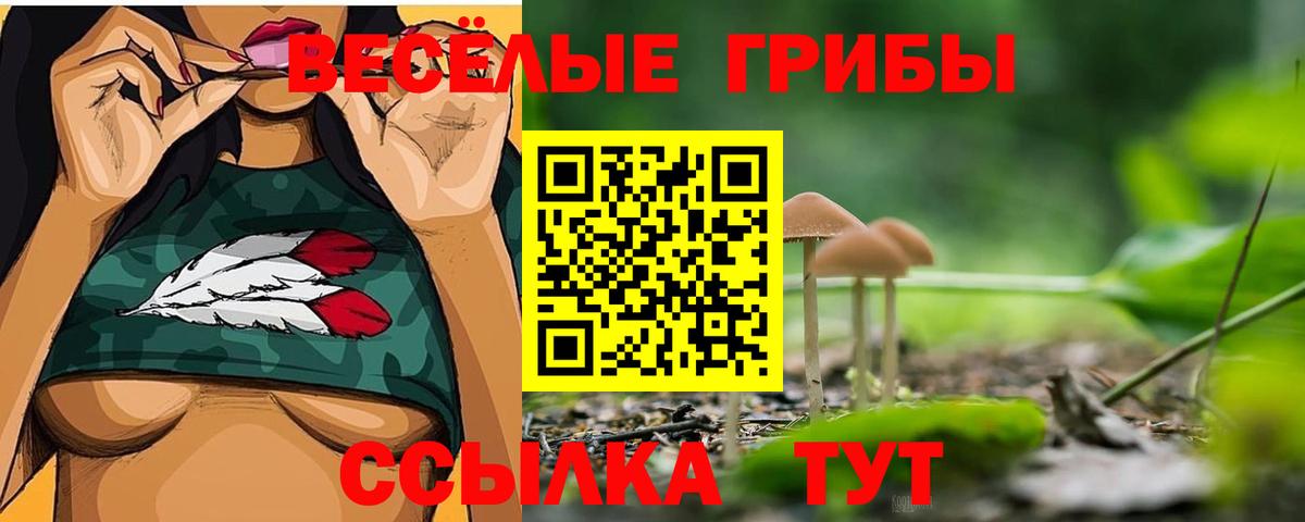 Псилоцибиновые грибы Psilocybine cubensis  Вход с VPN  Жуковский  Галлюциногенные грибы Cubensis 
